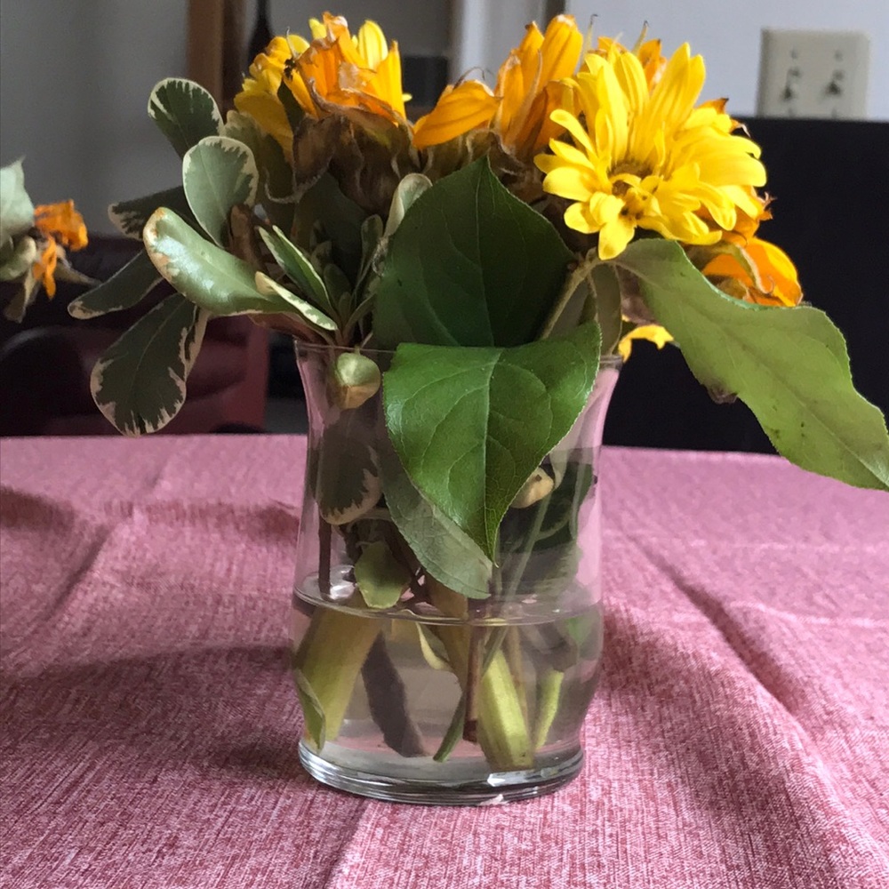 Meet your Posher, Rudy